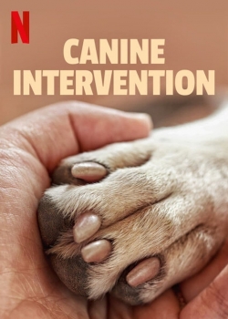 Canine Intervention